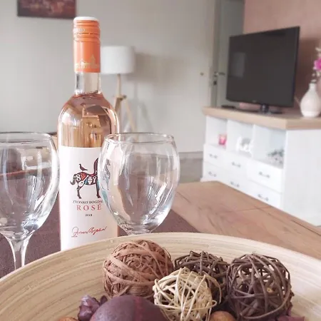 아파트 Vasilije *